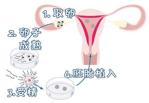 医生